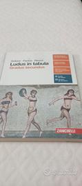 Ludus in tabula libro scolastico 
