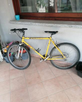 BICICLETTA (MTB) KASTLE