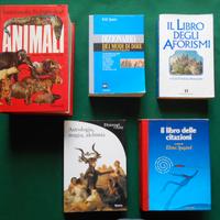 DIZIONARI   LOTTO N. 1  anche singoli