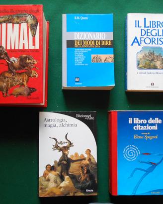 DIZIONARI   LOTTO N. 1  anche singoli