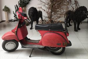 Vespa T5 pole position