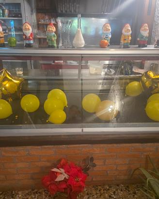 frigorifero L. 2,5 m funzionante + nanetti