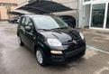 FIAT Panda 1.0 FireFly S&S Hybrid Pandina KM 0