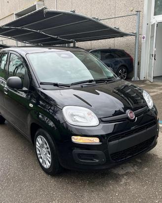FIAT Panda 1.0 FireFly S&S Hybrid Pandina KM 0