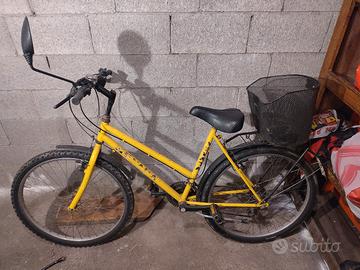 Bicicletta uomo con cambio e cestello