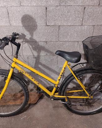 Bicicletta uomo con cambio e cestello