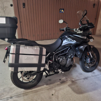 Tiger 900 gt pro