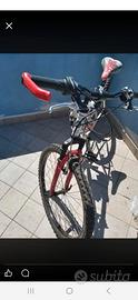 Bicicletta mtb donna
