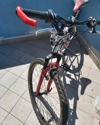 Bicicletta mtb donna