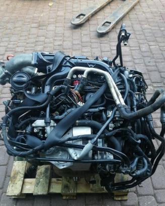 MOTORE BUG