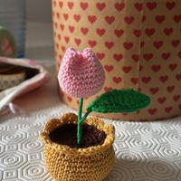 Amigurumi creazione