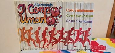 Collezione 1-45 esplorando il corpo umano