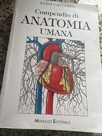 Anatomia Umana ( Luigi Cattaneo )