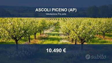 Immobile in asta di 5623 m² a Ascoli Piceno
