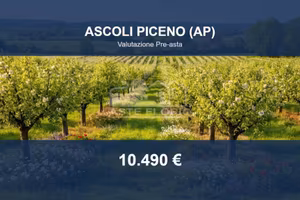 Immobile in asta di 5623 m² a Ascoli Piceno