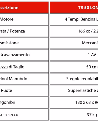 Decespugliatore tekna