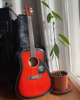 Chitarra acustica Fender CD60 SB-DS-B2