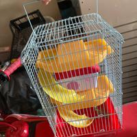 Gabbia per criceti a 3 piani