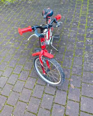bicicletta 