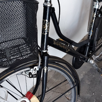 Bici da donna