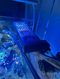 Ventole Raffreddamento Acquario