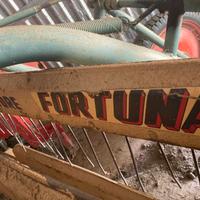Ranghinatore voltafieno fortuna