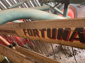 Ranghinatore voltafieno fortuna