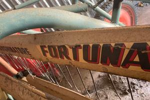 Ranghinatore voltafieno fortuna