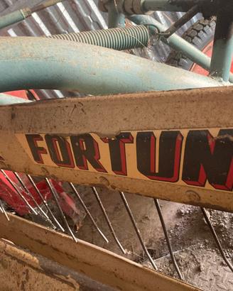 Ranghinatore voltafieno fortuna