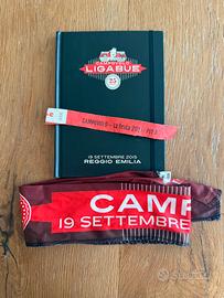 Campovolo 25 anni ligabue