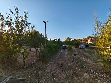Terreno agricolo di 13.000 mq - pescara colli
