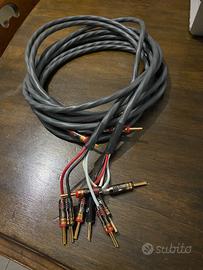 Cavi di potenza Supra Rondo da3 metri