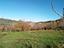 Immagine 15
