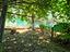 Immagine 26
