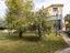 Immagine 11