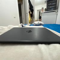 HP 255 G8 Notebook 39.6 cm (15.6")