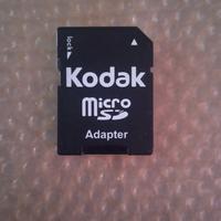 Micro SD Adapter 