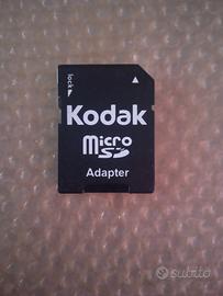 Micro SD Adapter 