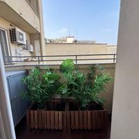 piante finte e scatole