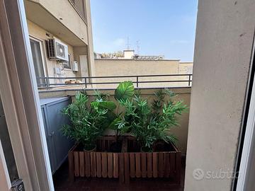 piante finte e scatole