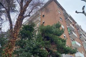 Rif.24078| appartamento bilocale