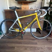 bici Maxxy da corsa telaio in carbonio.