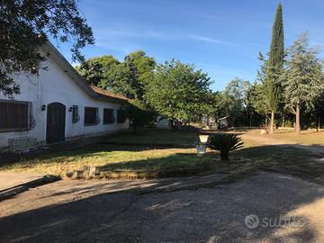 Villa singola con piscina e terreno