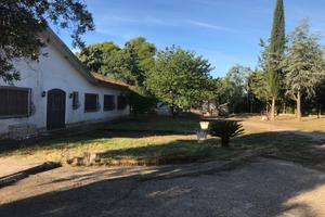 Villa singola con piscina e terreno