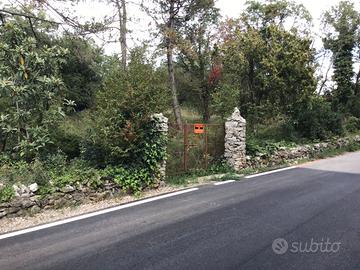 TERRENO 1100 MQ. FRONTE STRADA SGONICO TRIESTE