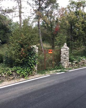 TERRENO 1100 MQ. FRONTE STRADA SGONICO TRIESTE