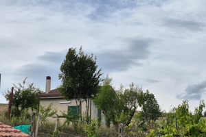 Tranquillità e relax - Villetta