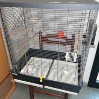gabbia per tutti tipo di uccelli 