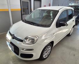 Fiat Panda 1.2 Easy 2019 Unico Proprietario