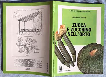 Libro ZUCCA E ZUCCHINO NELL’ORTO